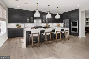 23311 Parkside Vlg Cir, Aldie, VA 20105 - Photo 4