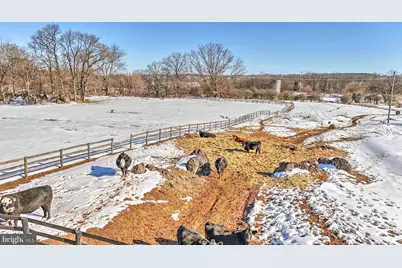 42618 St Clair Lane, Leesburg, VA 20176 - Photo 6