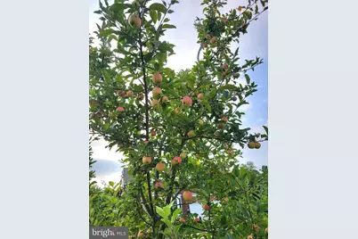 42134 Autumn Rain Circle, Brambleton, VA 20148 - Photo 52