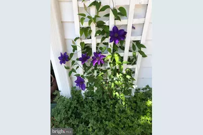 604 Elliot Drive, Purcellville, VA 20132 - Photo 64