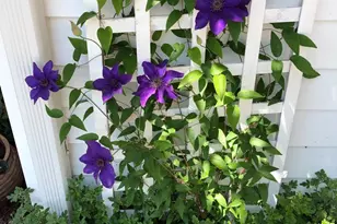 604 Elliot Dr, Purcellville, VA 20132 - Photo 64