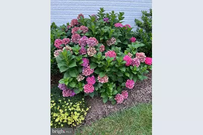 604 Elliot Drive, Purcellville, VA 20132 - Photo 60