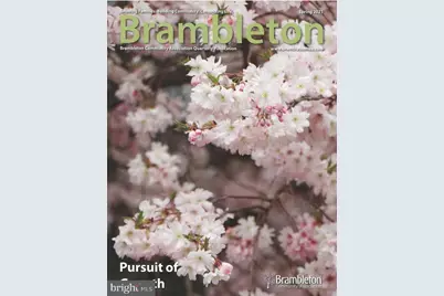 42594 Good Hope Lane, Brambleton, VA 20148 - Photo 6