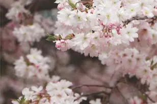 42594 Good Hope Ln, Brambleton, VA 20148 - Photo 6