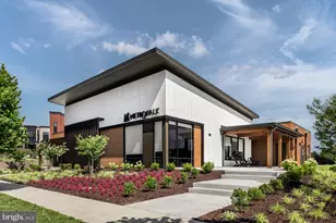 22129 Little Mount Ter, Ashburn, VA 20148 - Photo 8