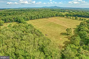 43470 Evans Pond Rd, Leesburg, VA 20176 - Photo 98