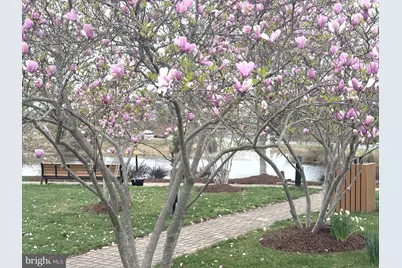 19410 Front Street, Leesburg, VA 20176 - Photo 56