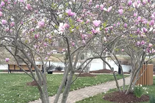 19410 Front St, Leesburg, VA 20176 - Photo 56