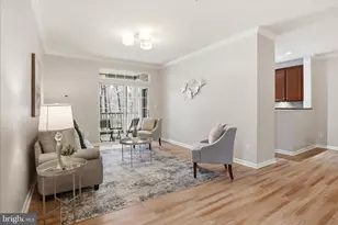 20385 Belmont Park Terrace, Ashburn, VA 20147 - Photo 8