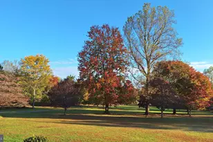 11929 Folly Ln, Lovettsville, VA 20180 - Photo 8