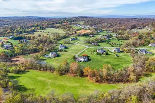 17972 Running Colt Pl, Leesburg, VA 20175 - Photo 96