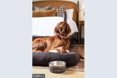 212 King Street S #D, Leesburg, VA 20175 - Photo 10