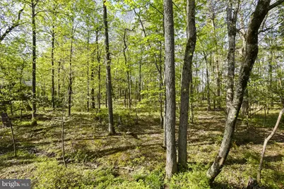 43395 Briar Creek Terrace, Ashburn, VA 20147 - Photo 28