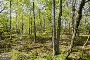 43395 Briar Creek Terrace, Ashburn, VA 20147 - Photo 28