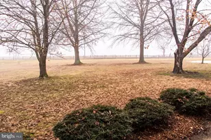 39693 Rocky Ln, Lovettsville, VA 20180 - Photo 8