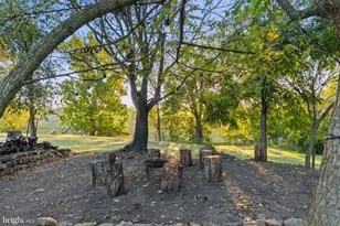 15124 Omega Ct, Waterford, VA 20197 - Photo 74