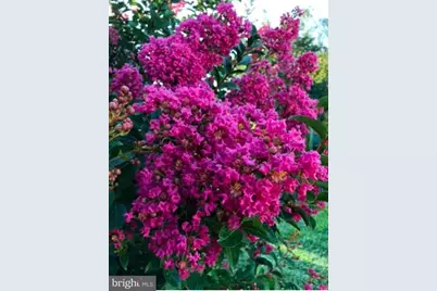 22244 Sam Fred Road, Middleburg, VA 20117 - Photo 10