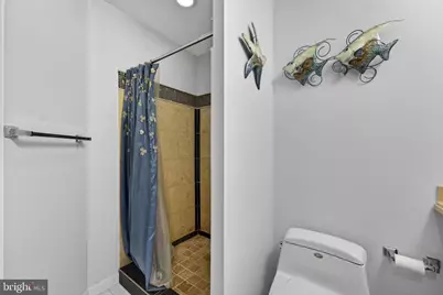 47435 Courtney Lane, Sterling, VA 20165 - Photo 60