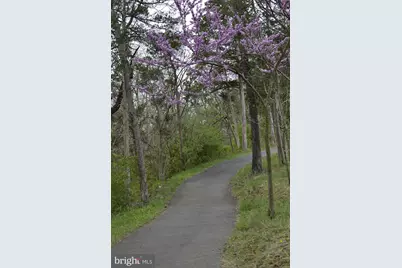 43341 Barnstead Drive, Ashburn, VA 20148 - Photo 24