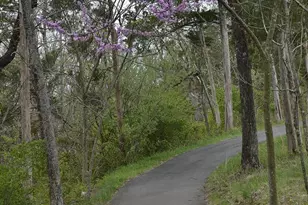 43341 Barnstead Dr, Ashburn, VA 20148 - Photo 24