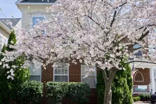 21625 Merion St, Ashburn, VA 20147 - Photo 24