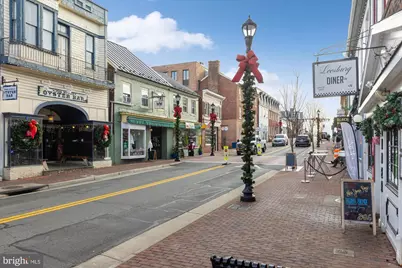 254 Bluemont Branch Terrace SE, Leesburg, VA 20175 - Photo 50