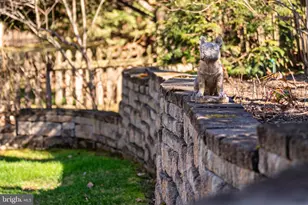 20442 Cherrystone Pl, Ashburn, VA 20147 - Photo 38