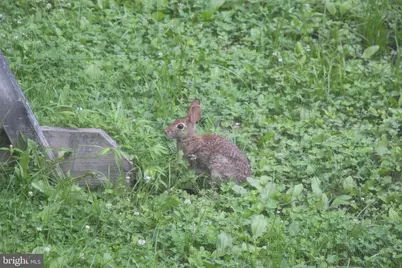 22247 Watson Road, Leesburg, VA 20175 - Photo 50