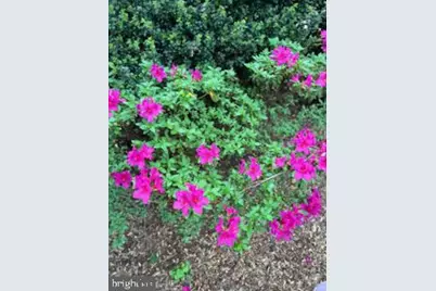 43334 Butterfield Court, Ashburn, VA 20147 - Photo 84