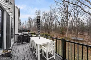 42244 Graves Mountain Ter, Chantilly, VA 20152 - Photo 12