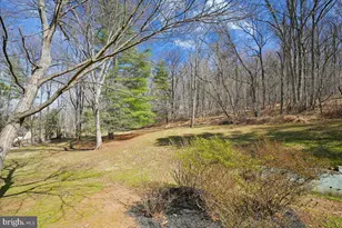 13064 Furnace Mountain Rd, Lovettsville, VA 20180 - Photo 44