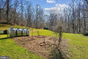 13064 Furnace Mountain Rd, Lovettsville, VA 20180 - Photo 46