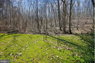 13064 Furnace Mountain Road, Lovettsville, VA 20180 - Photo 48