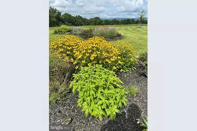 16756 Misty Ridge Lane, Purcellville, VA 20132 - Photo 76
