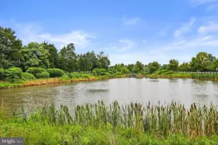 40930 White Clover Ln, Aldie, VA 20105 - Photo 80