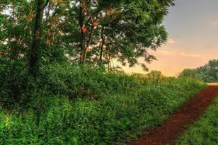 40930 White Clover Ln, Aldie, VA 20105 - Photo 102