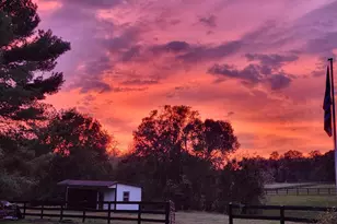 19255 Telegraph Springs Rd, Purcellville, VA 20132 - Photo 20