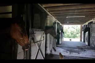19255 Telegraph Springs Rd, Purcellville, VA 20132 - Photo 56