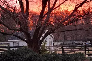 19255 Telegraph Springs Rd, Purcellville, VA 20132 - Photo 18