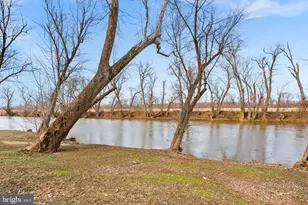 19451 Youngs Cliff Rd, Sterling, VA 20165 - Photo 122