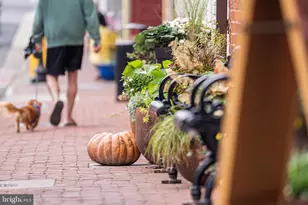 1002 Themis St SE, Leesburg, VA 20175 - Photo 66