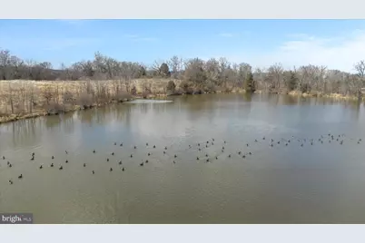 40452 Windyhill Farms Drive, Aldie, VA 20105 - Photo 50