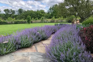 15371 Limestone School Rd, Leesburg, VA 20176 - Photo 50