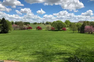 15371 Limestone School Rd, Leesburg, VA 20176 - Photo 4