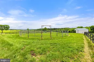 39311 Rickard Rd, Lovettsville, VA 20180 - Photo 64