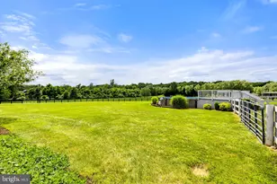 39311 Rickard Rd, Lovettsville, VA 20180 - Photo 62