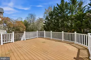 46733 Hollow Mountain Pl, Sterling, VA 20164 - Photo 36