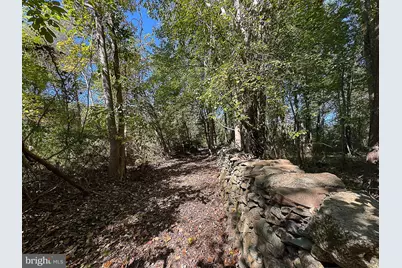35940 Birch Hollow Lane, Hillsboro, VA 20132 - Photo 20