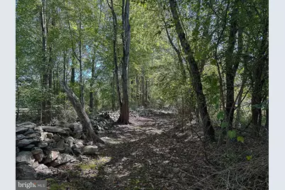 35940 Birch Hollow Lane, Hillsboro, VA 20132 - Photo 16