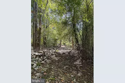 35940 Birch Hollow Lane, Purcellville, VA 20132 - Photo 82